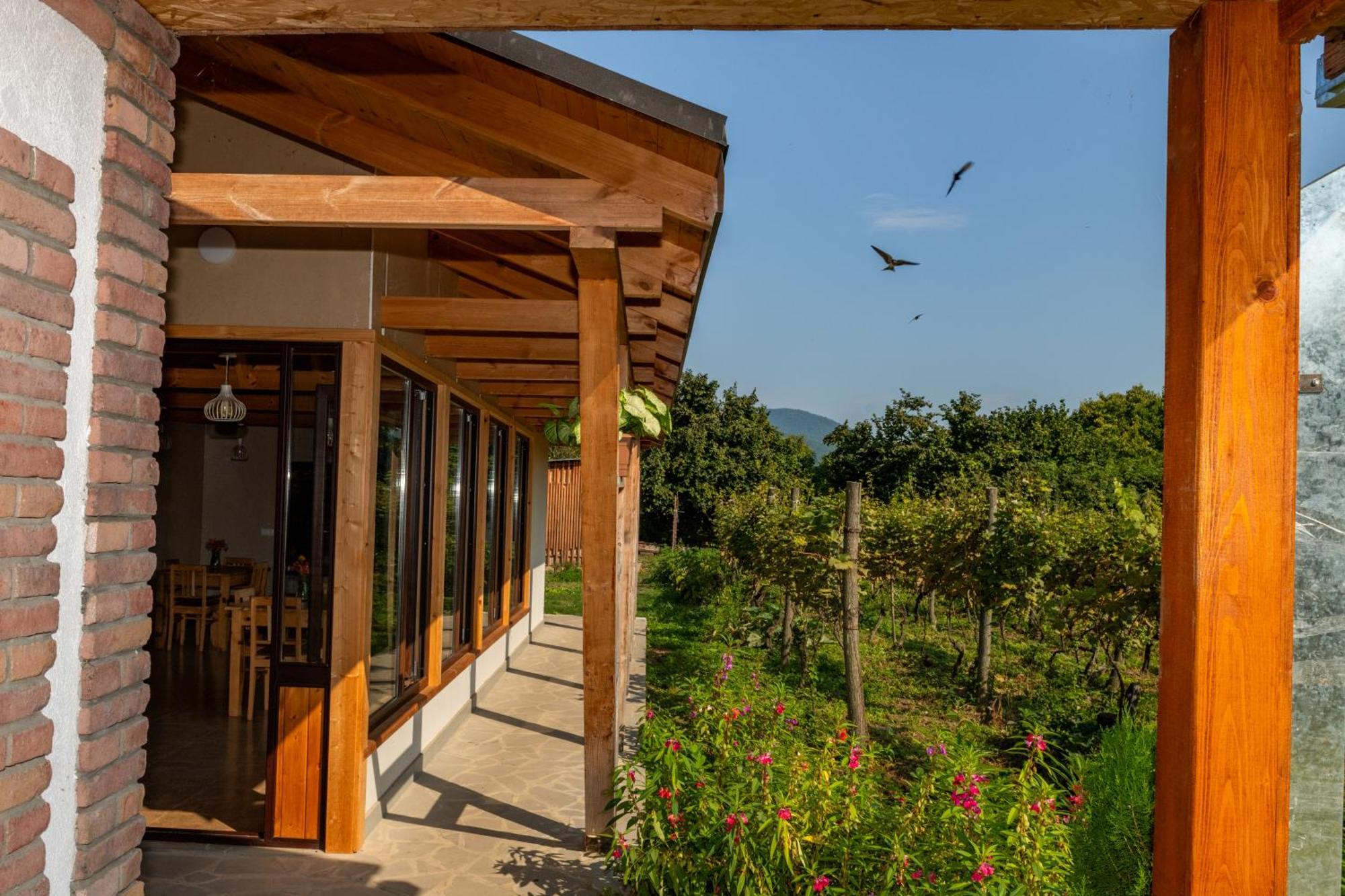 Alvani Inn K'vemo Alvani Esterno foto